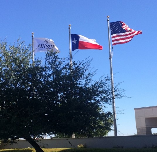 01_Flags_above_Austin.jpg